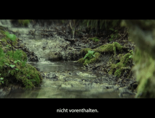 Tristan / Vol. 21 / Nacht, Scham und Schuld