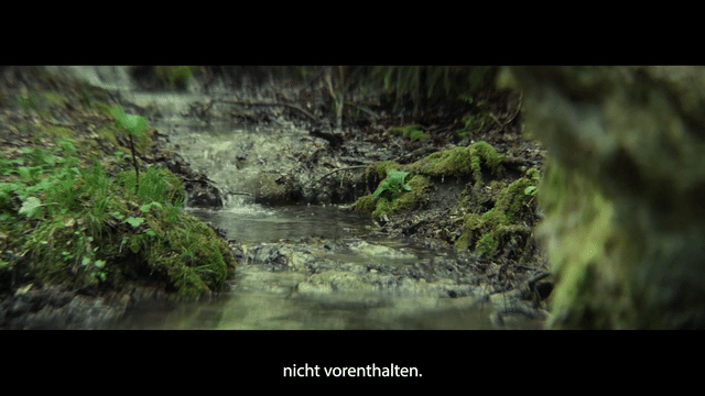 schamundschuld low