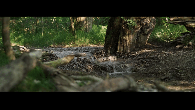 mastervorlage 11 25 low